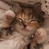 Foto profil Maya 